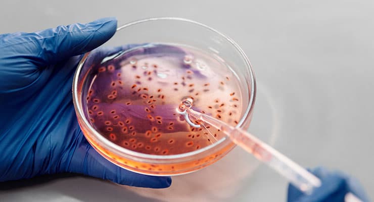 DNA Mikro Dizin Birimi